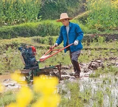 疫情防控的基本常识是什么？（疫情防控和春耕备耕两不误）